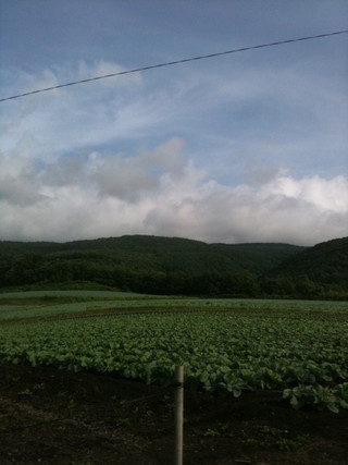 Img_1003 Img_1003