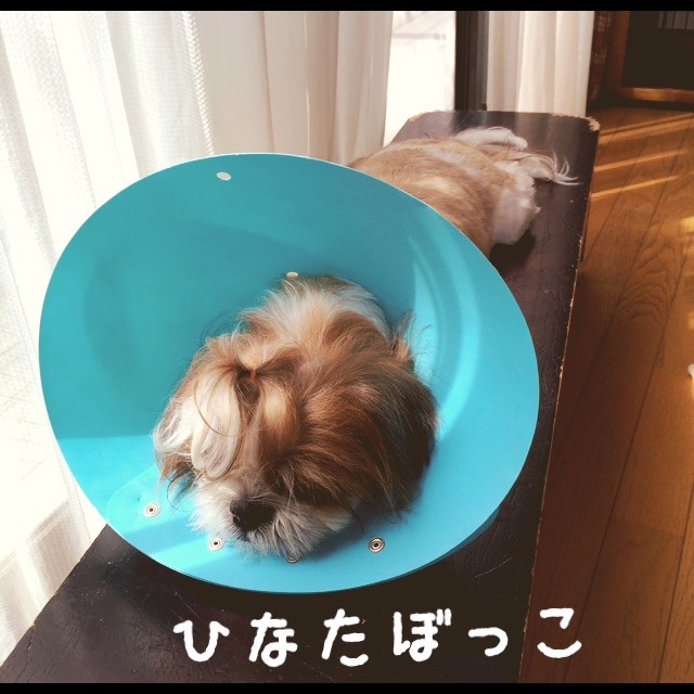 [E:#x1F4AE]です