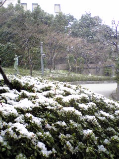 snow