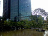 DSC00537.jpg