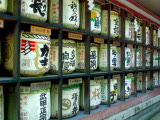 DSC00541.jpg